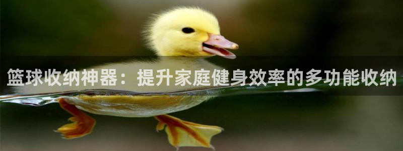 球客岛官网下载平台注册要钱吗：篮球收纳神器：提升家庭健身效率