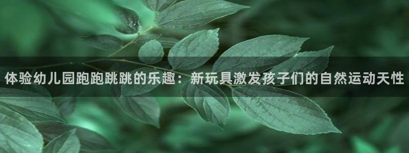 球客岛官网下载联系电话：体验幼儿园跑跑跳跳的乐趣：新玩具激发