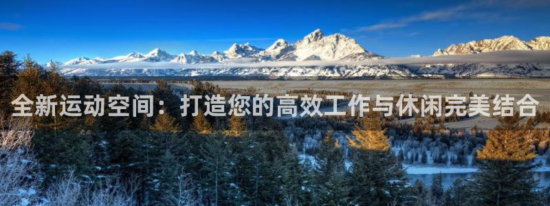 球客岛官网下载招商电话地址查询：全新运动空间：打造您的高效工