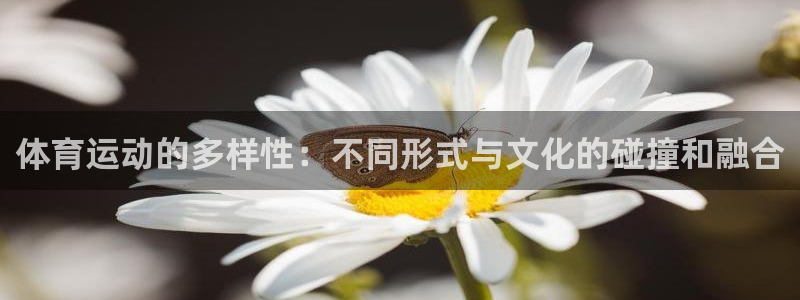 谈球吧体育官网