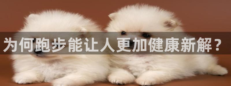 谈球吧