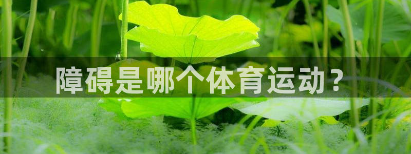 谈球吧体育官网
