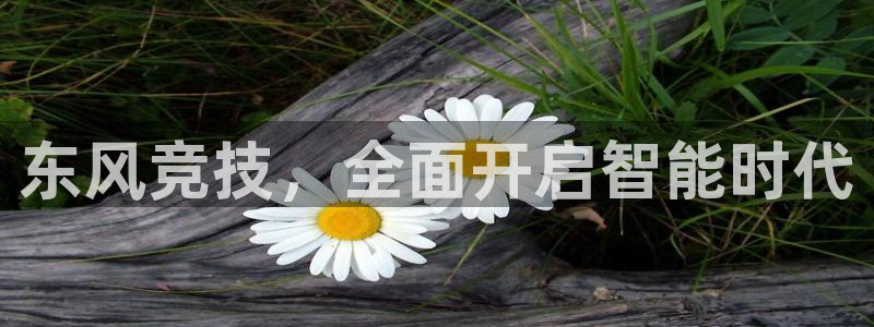 谈球吧体育