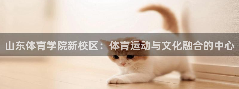 谈球吧体育