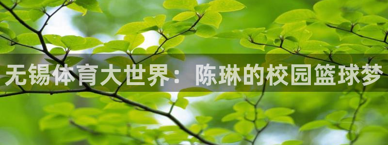 谈球吧