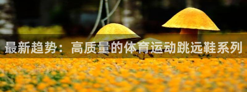 谈球吧体育