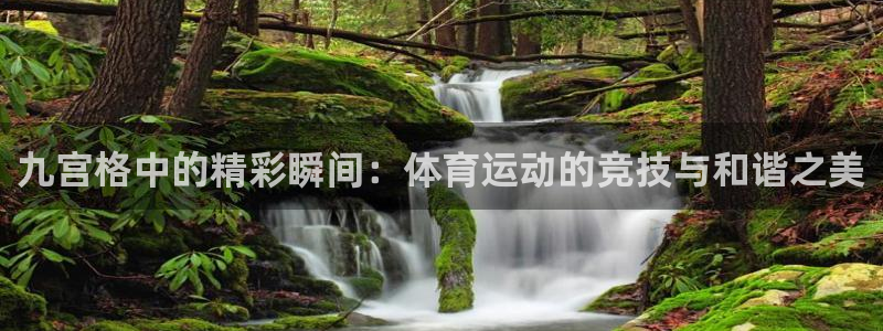 谈球吧体育官网