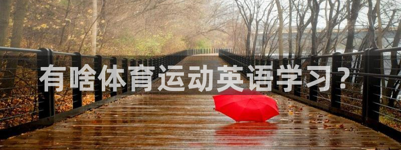 谈球吧体育官网