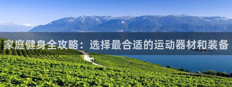 球客岛官方正版app集团官网网址