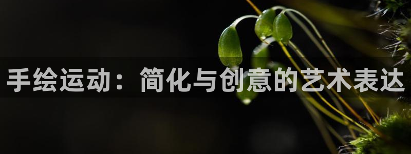 球客岛官方正版app娱乐首页官网下载：手绘运动：简化