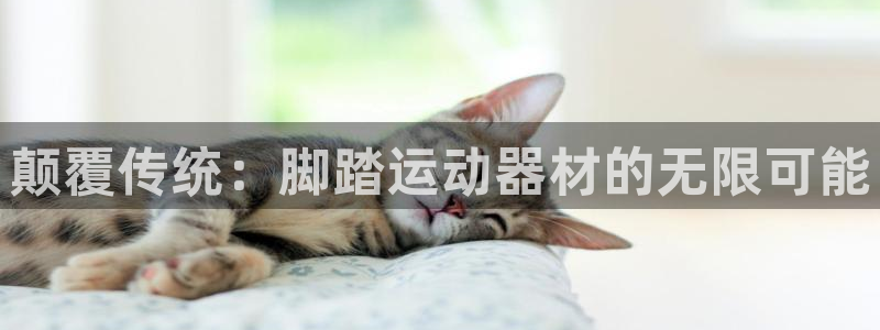 球客岛官方正版app娱乐代理怎么样：颠覆传统：脚踏运动器材的