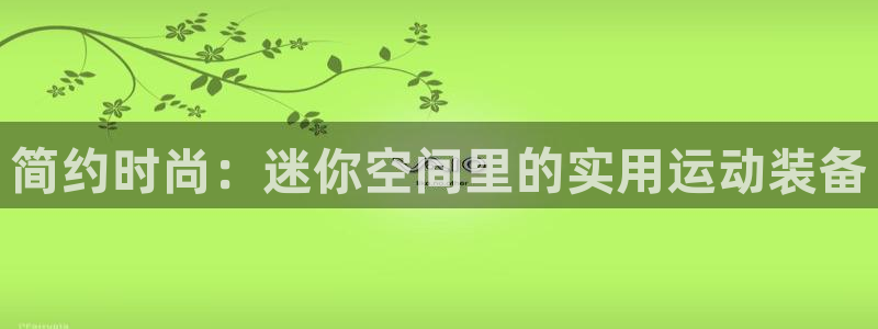 球客岛官网下载是干嘛的公司：简约时尚：迷你空间里的实